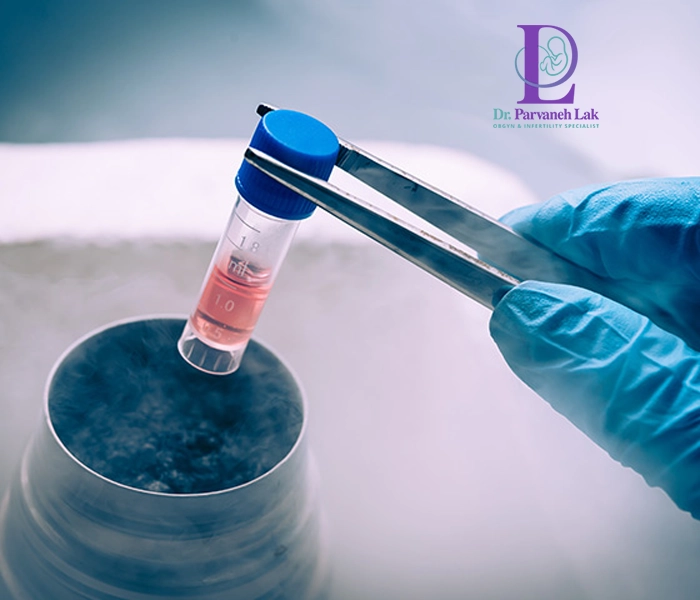 عکس جنین فریز شده