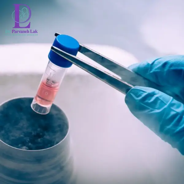 آیا استفاده از تخمک‌های فریز شده محدودیت سنی دارد؟