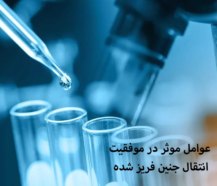 عوامل موثر در موفقیت انتقال جنین فریز شده