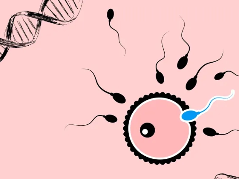 آیا ناباروری ارثی است؟