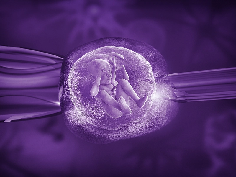 تفاوت بین انتقال جنین تازه و منجمد