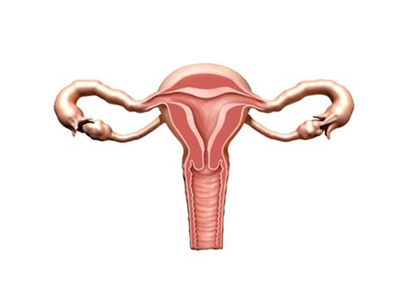 نقش هیستروسکوپی در درمان ناباروری